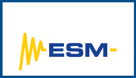 Logo ESM Energie- und Schwingungstechnik Mitsch GmbH